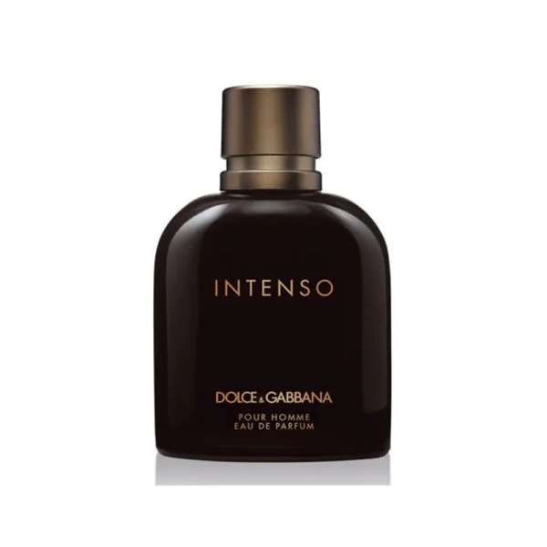 عطر مردانه دی اند جی پور هوم اینتنسو