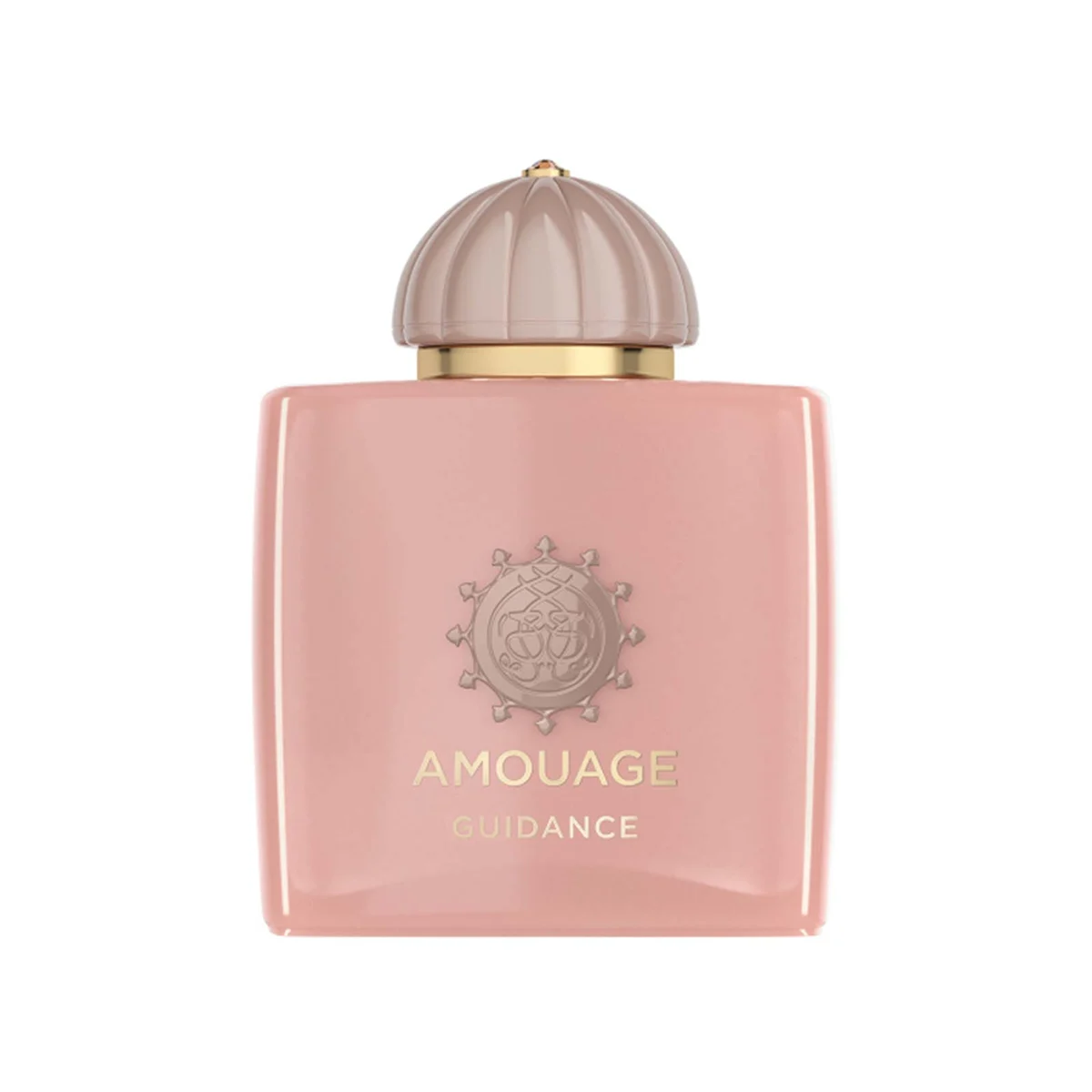 عطر یونیسکس آمواج گایدنس حجم 100 میل عطر یونیسکس آمواج گایدنس حجم 100 میل